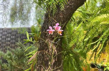 Recanto quatro estacoes - Foto 12