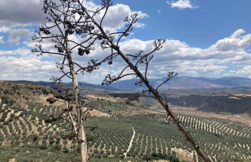 Dehesilla Olive Orchard Retreat - Foto 55