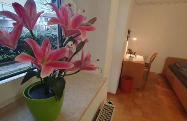 ABM Apartment 12 - Photo 7