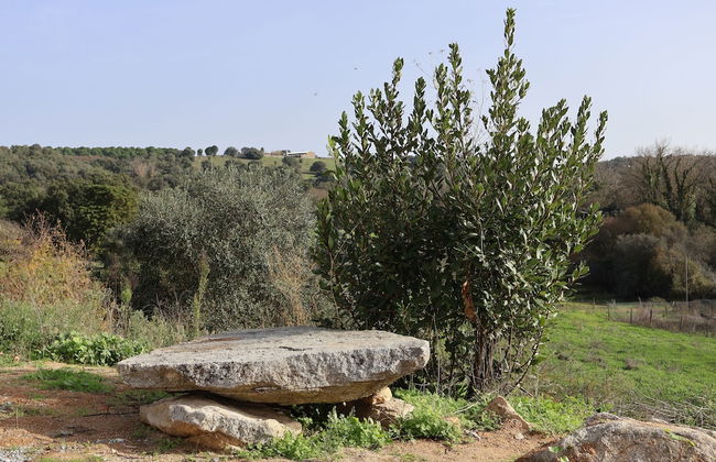 Herdade do Vidigal - Foto 78