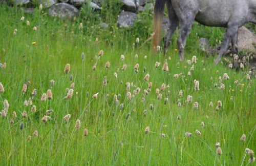 Apartamento Almanzor - Photo 27