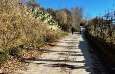 Terrace house ! - Photo 44