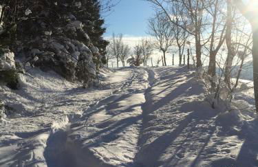 Casa Sperandini - Foto 46