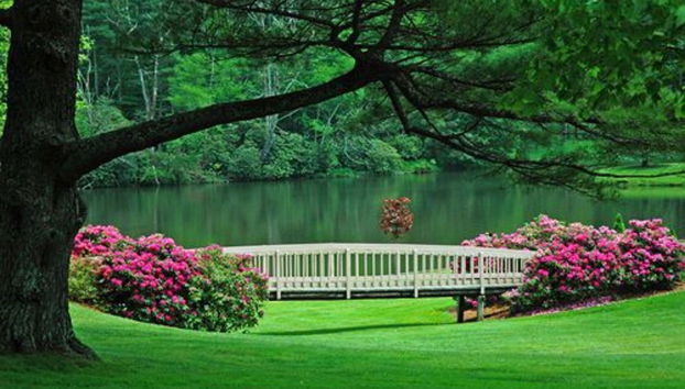 Bob Timberlake Inn At Chetola Resort - Photo 3