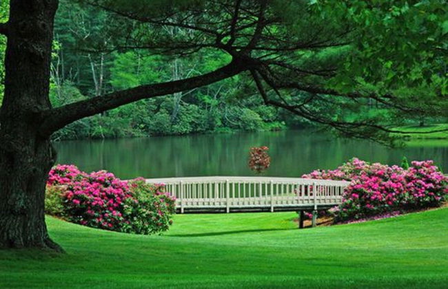 Chetola Resort - Foto 3