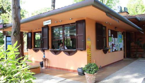 The charming Mare Pineta Mobile home 4 persons - Foto 2