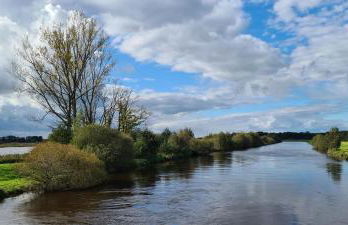 FeWo-Veronika-Apen - Foto 35