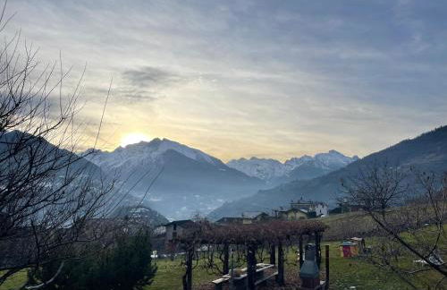 Verger Plein Soleil - Foto 15