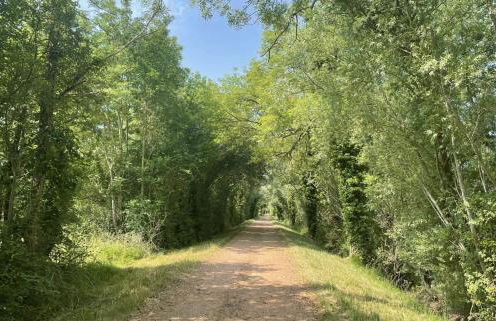 La Cabane du Pêcheur - Foto 54