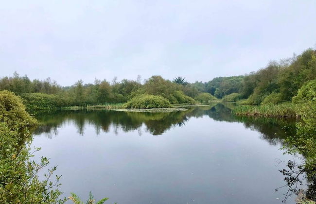 4 Star Holiday Home in Ansager - Photo 31