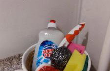 Zum Fuchsbau - Schöneiche bei Berlin - Foto 10