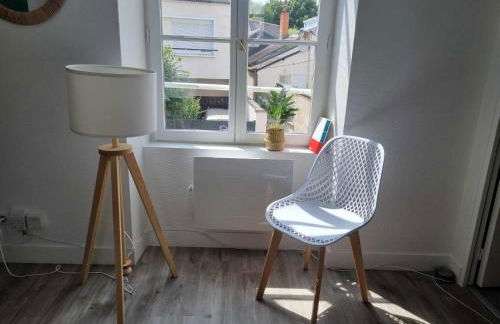 Appartement centre d'Orléans en bord de Loire - Foto 24