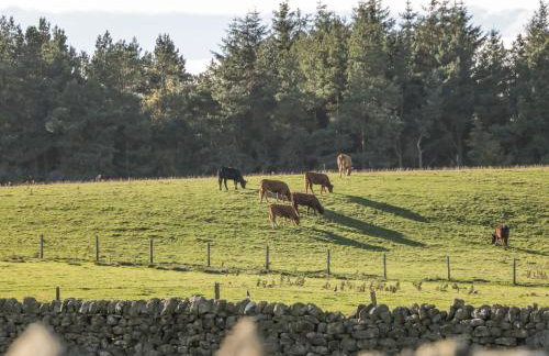 The Hayloft - Foto 17