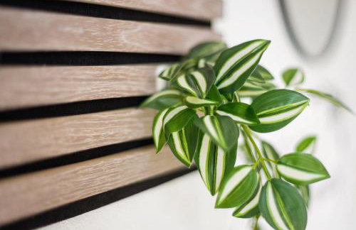 Ferienwohnung aufm Weinberg - Foto 24