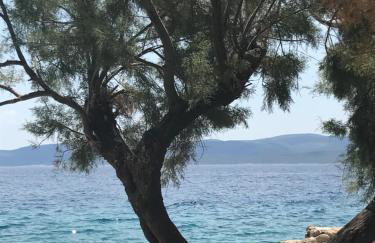 Apartments Zdravka - Foto 67