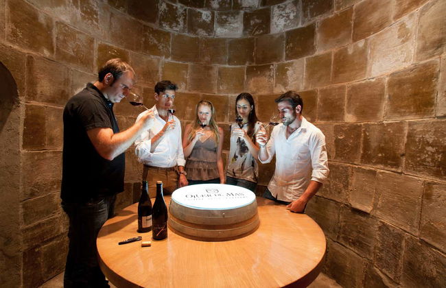 Visita alla cantina Oller del Mas - Foto 4