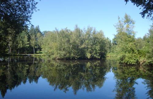 Le Mans - Au Calme - Stationnement Facile - Proche Centre Ville et Gare - Foto 53