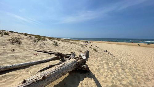 Villa Sur La Dune Moliets, 12 people, beach, golf - Foto 2