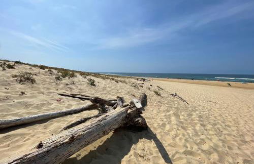 Villa Sur La Dune Moliets, 12 people, beach, golf - Foto 2