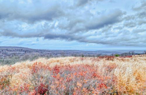 Northridge 410 - Foto 2