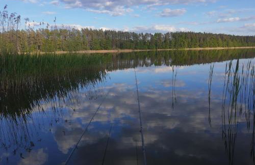 Dom pod Jabłonką - Foto 18