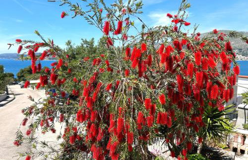 Apartment One - Foto 46