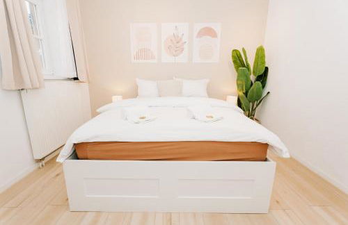 City-Apartment Kreuzviertel-Lädchen-60 qm - Foto 32