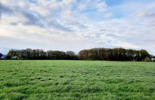 Ferienhaus am See Goch Kessel - Foto 41
