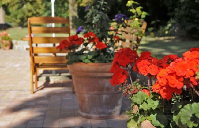 Herrenhaus Alt Vorwerk - Foto 33