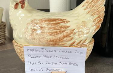 Maneight Luxury Lodge with hot tub - Foto 17