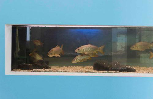 Appartamento Lungolago San Feliciano - Photo 37