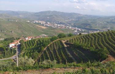 Retiro da Quinta do Souto - Foto 1