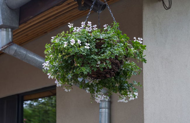 Cherry Tree Cottage - Foto 27