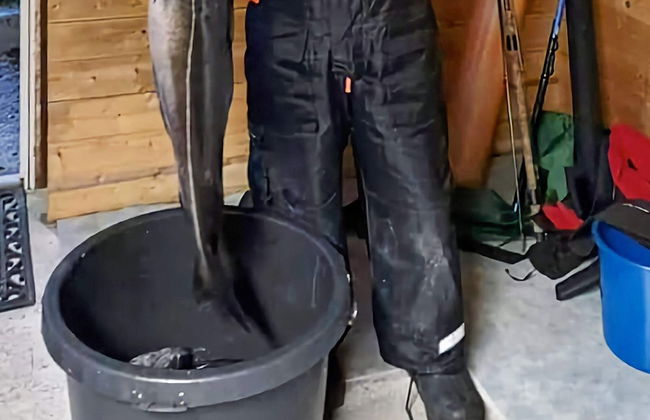 9 Person Holiday Home in Kortgarden - Foto 2