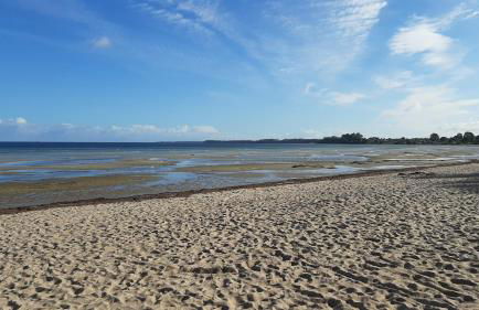 OSTSEE-Ferienhaus RAMONA - am Strand & ruhig - Foto 19