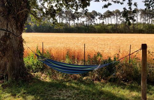 Tipi Apache des monteaux - Photo 63