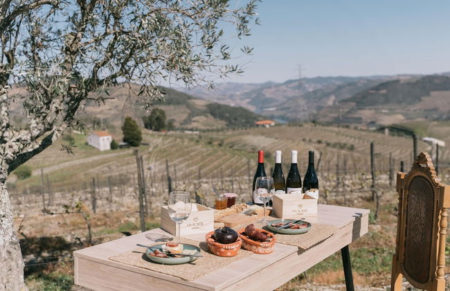 Feel Discovery Quinta do Muro - Foto 16