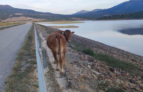 Alquiler Casita en Facinas - Foto 31