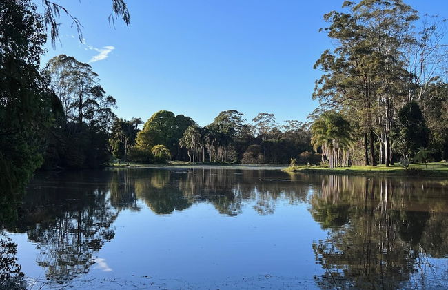 Maleny District - Charming Cottage in Witta 2 Beds - Foto 11