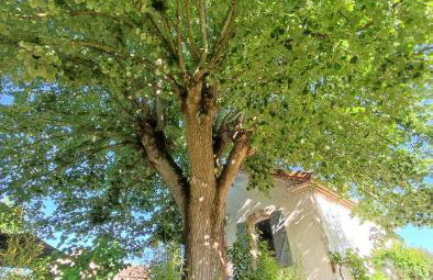 Gîte Villa Garona 6 pers avec billard proche Pyrénées - Foto 19