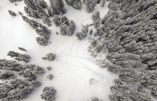 Lichen Huts - Foto 36
