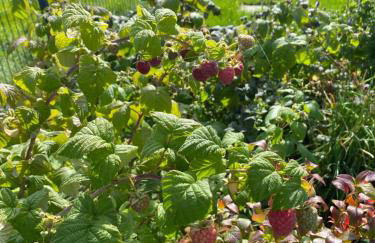 Stodoła 55 - Foto 57