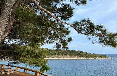 Apartments Bernarda - Foto 25