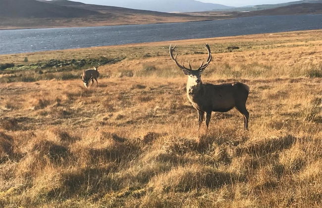 Garvault House - Photo 44