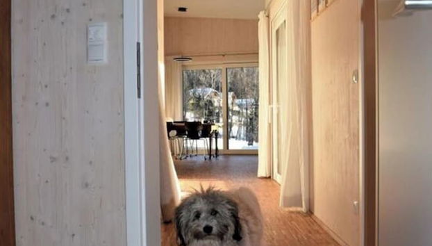 Bungalow House Lammersdorf - Foto 4