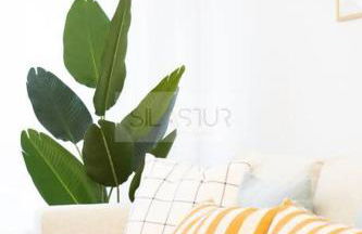 Juan Escalante By Silastur - Foto 9