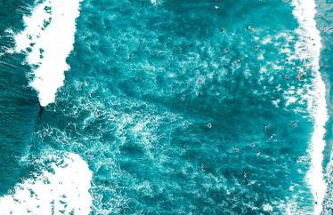 Finca Doña Juana - Foto 27