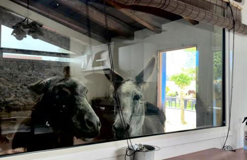 Casa antigua - Foto 37