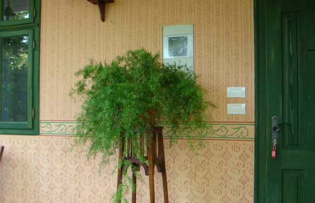 Mikin dol Baranja Country House - Foto 38