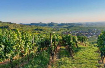 Ferienwohnung vino9 - Foto 6